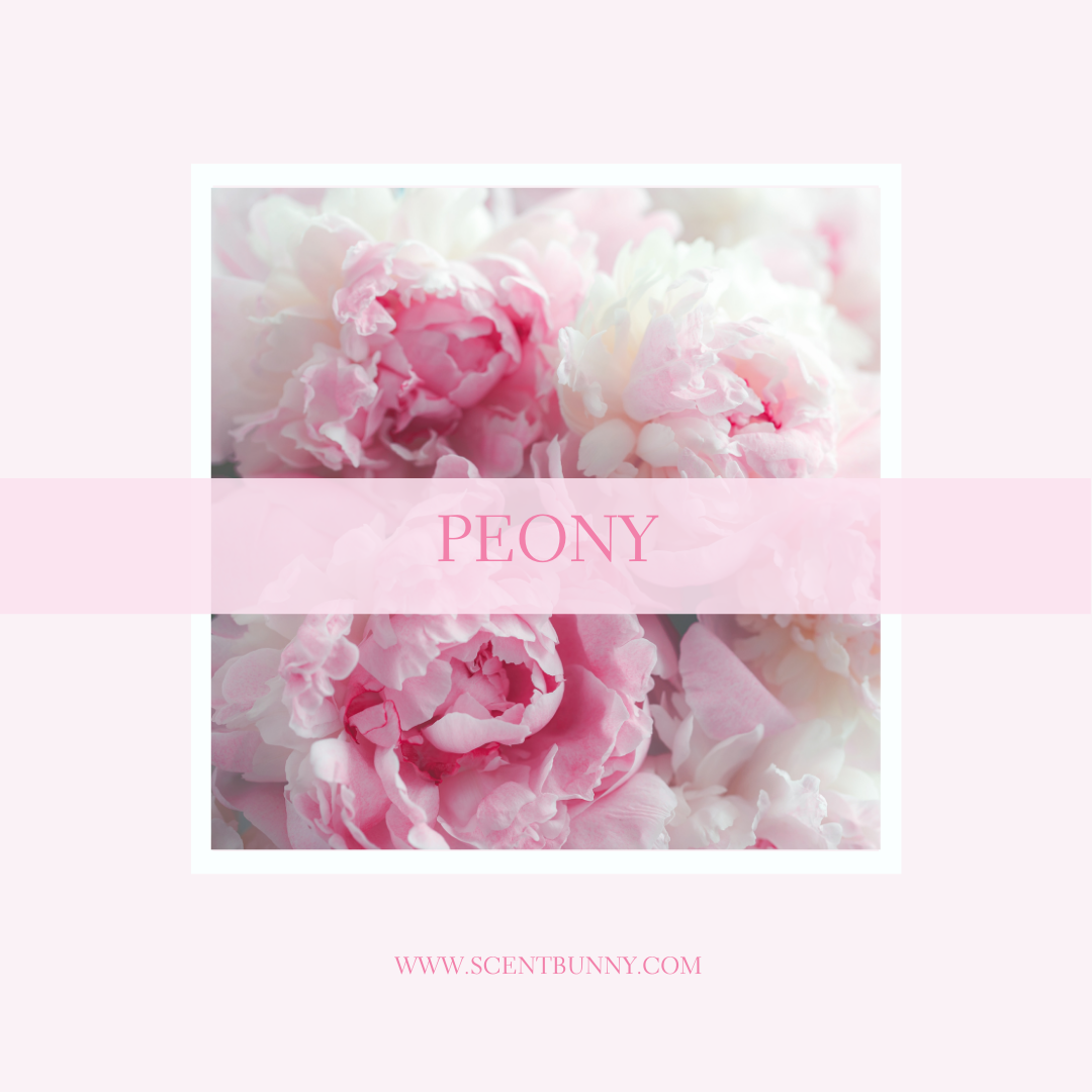 What Does Peony Smell Like? Discovering the Fresh, Floral Elegance of This Beloved Fragrance Note