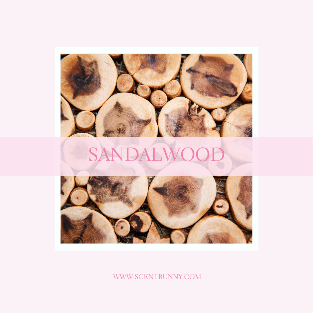 What Does Sandalwood Smell Like? | Discover the Warm, Creamy Woody Scent
