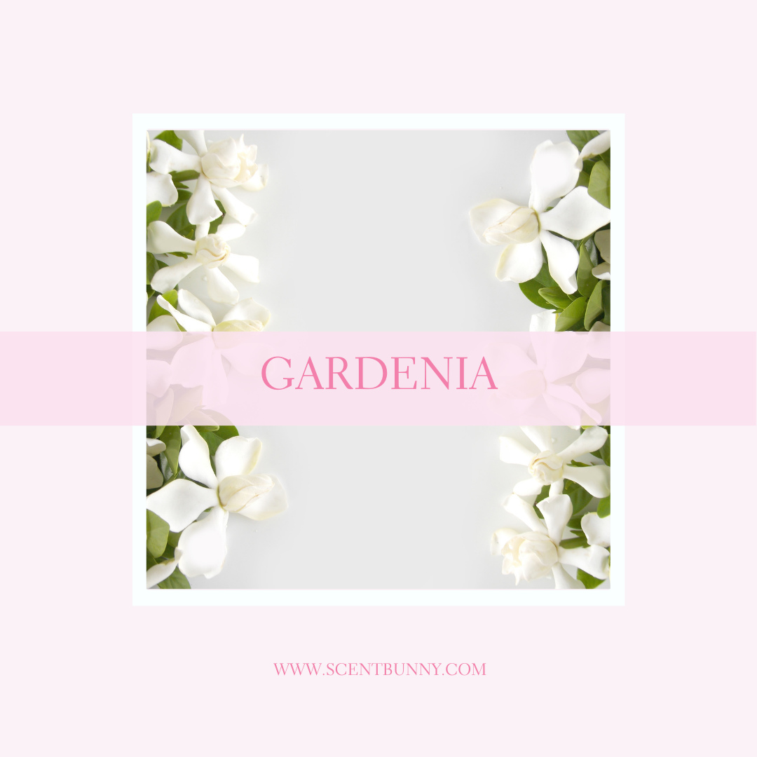 What Does Gardenia Smell Like?