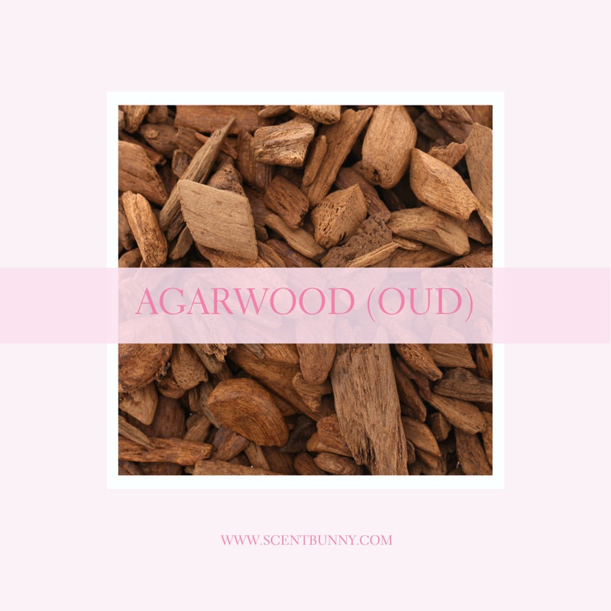 “What is oud agarwood – rich smoky woody fragrance note explained”  “Agarwood resin oud chips – luxury woody scent for home fragrance”  “Oud fragrance guide – smoky earthy resin notes by Scent Bunny”