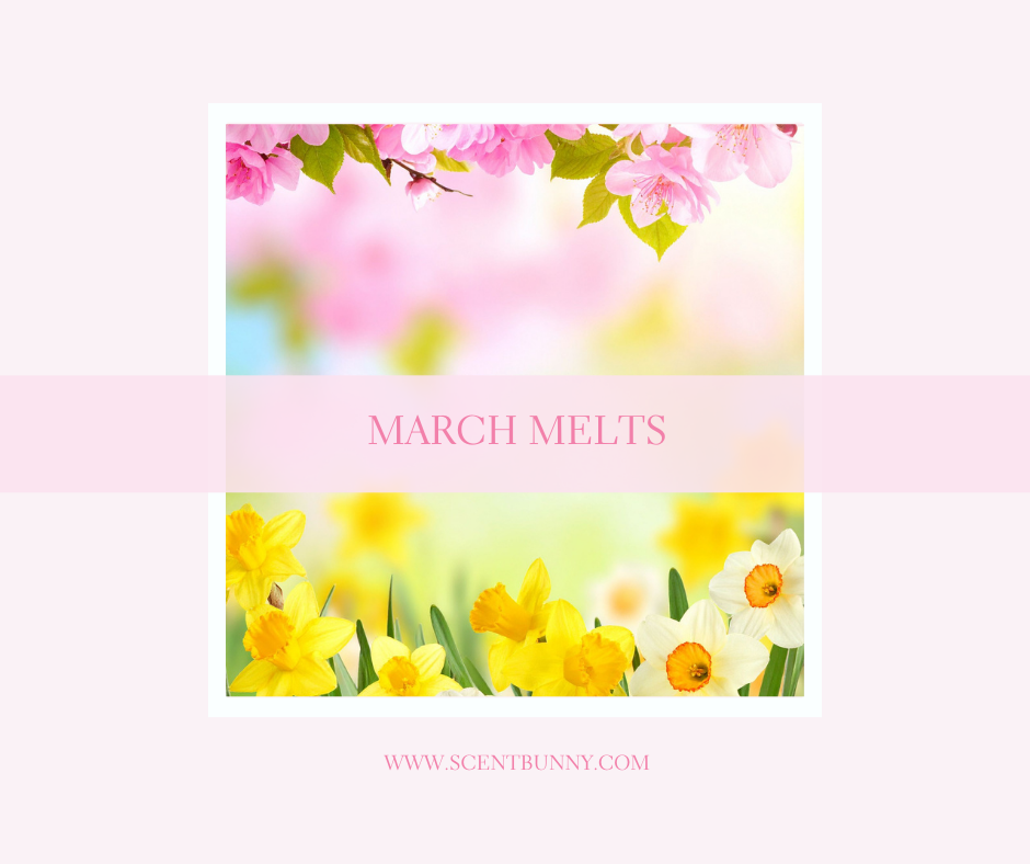 Article image: "Scent Bunny March wax melts spring collection on tray" Individual products: "Sunshine Bunny March wax melts peach fragrance", "Chocolate Bunny March wax melts cozy gourmand"