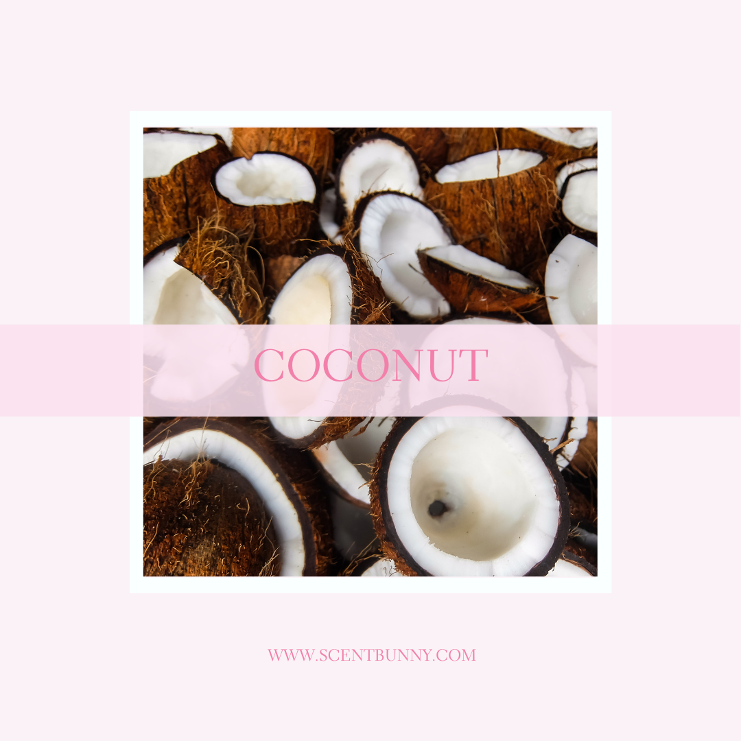 Coconut Fragrance Notes Collection