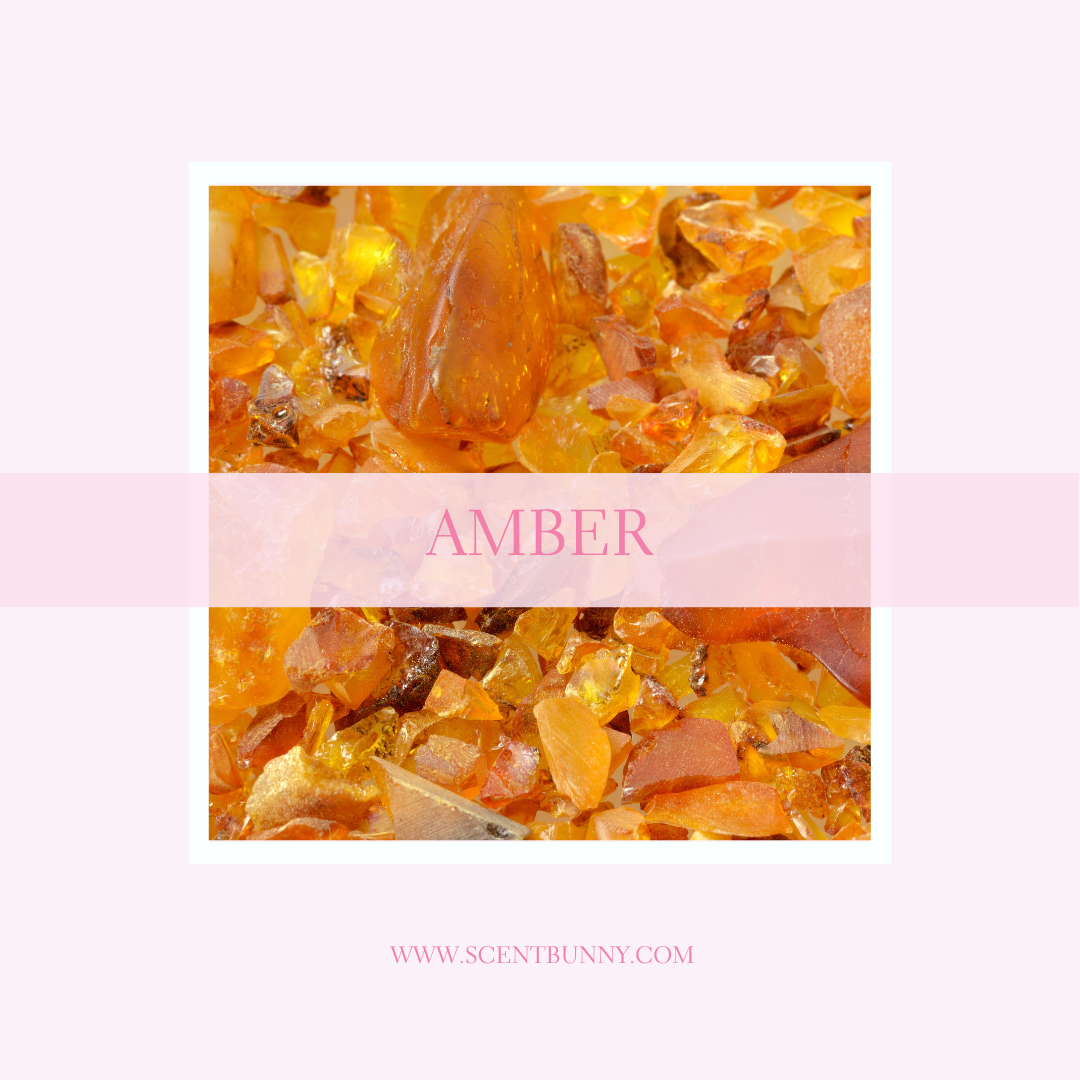 Amber fragrance collection with warm scented candles and wax melts