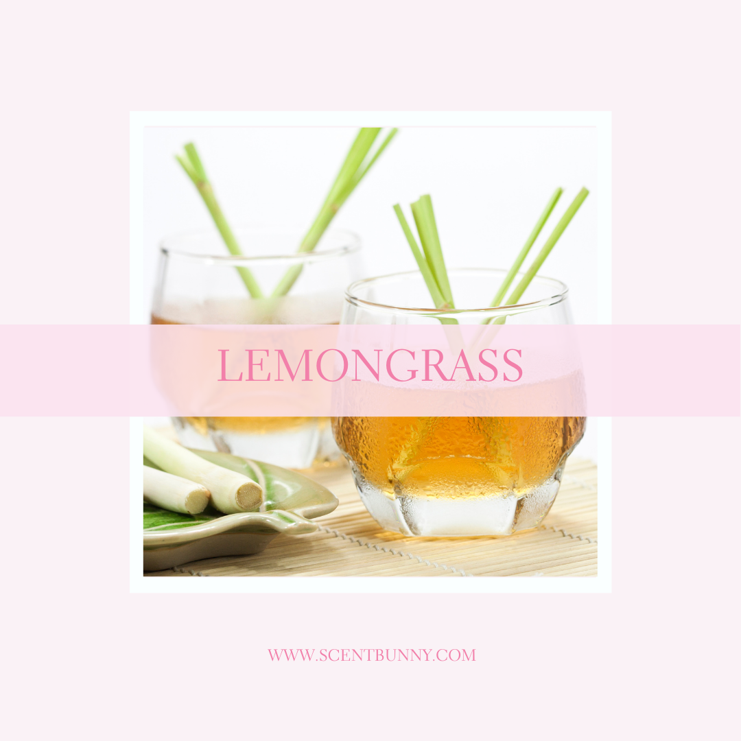 Lemongrass Fragrance Notes Collection