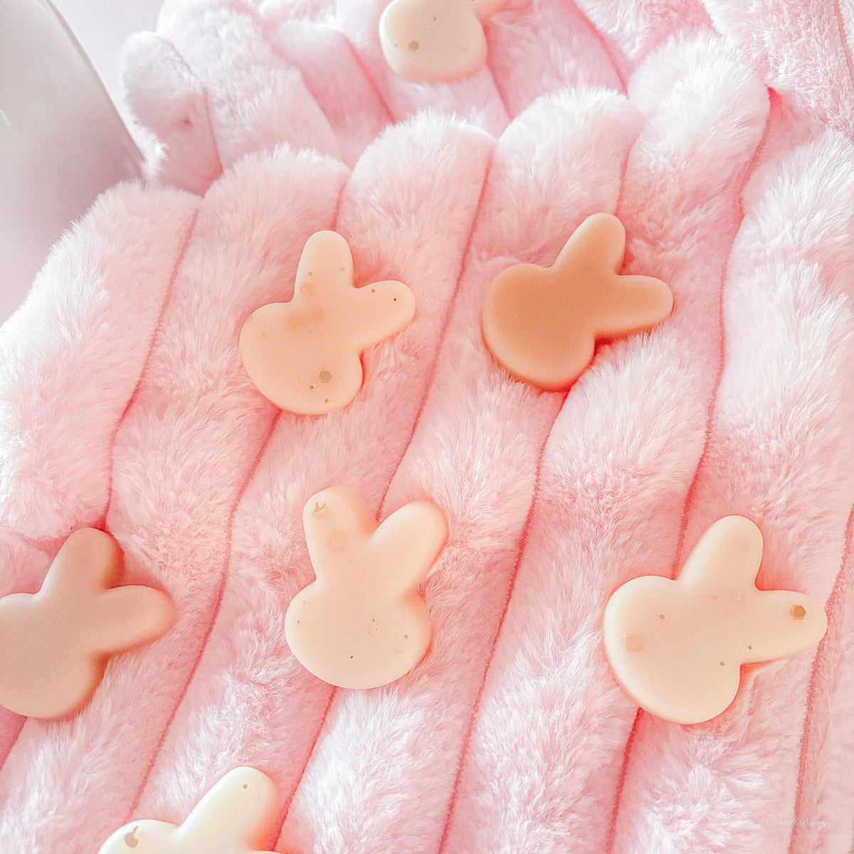 Autumn / Winter collection