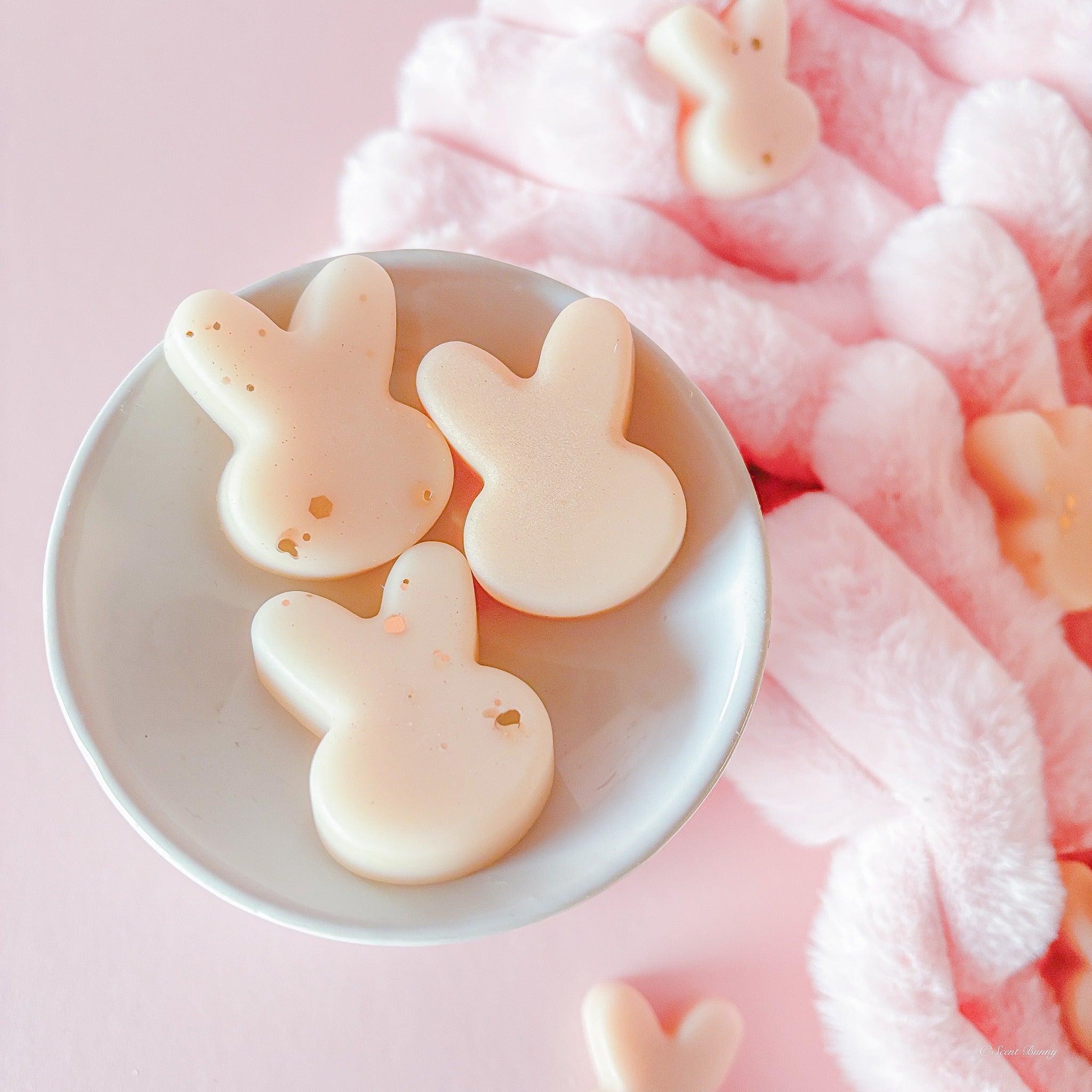 Bunny Blessings - Scent BunnyBunny wax melts 3pk