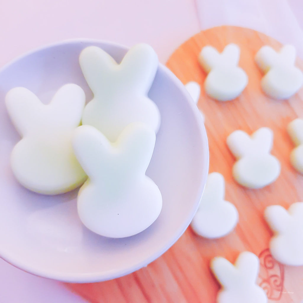 Gentle Bunny - Scent BunnyBunny feet