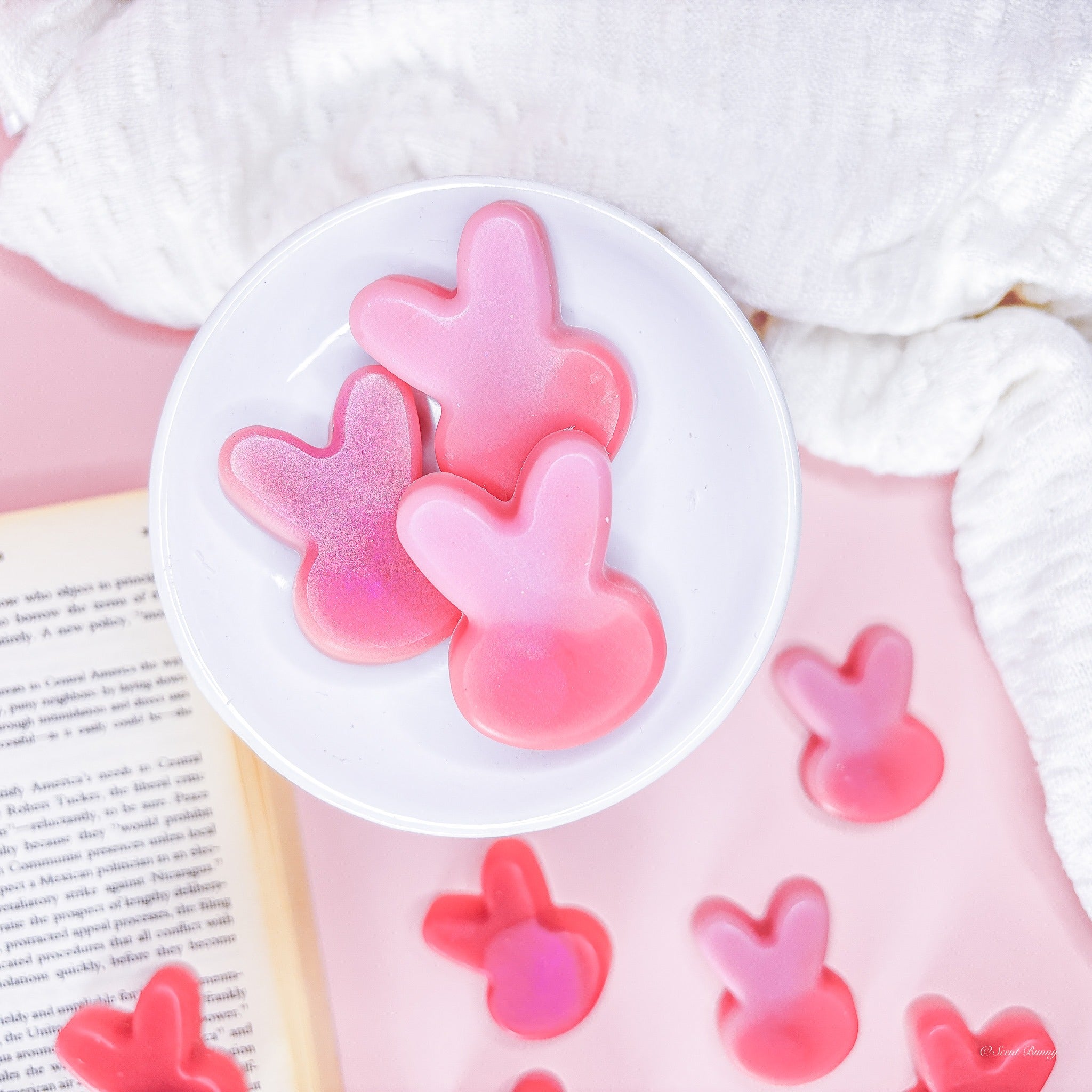 Blackcurrant Bunny blackcurrant and rose wax melts