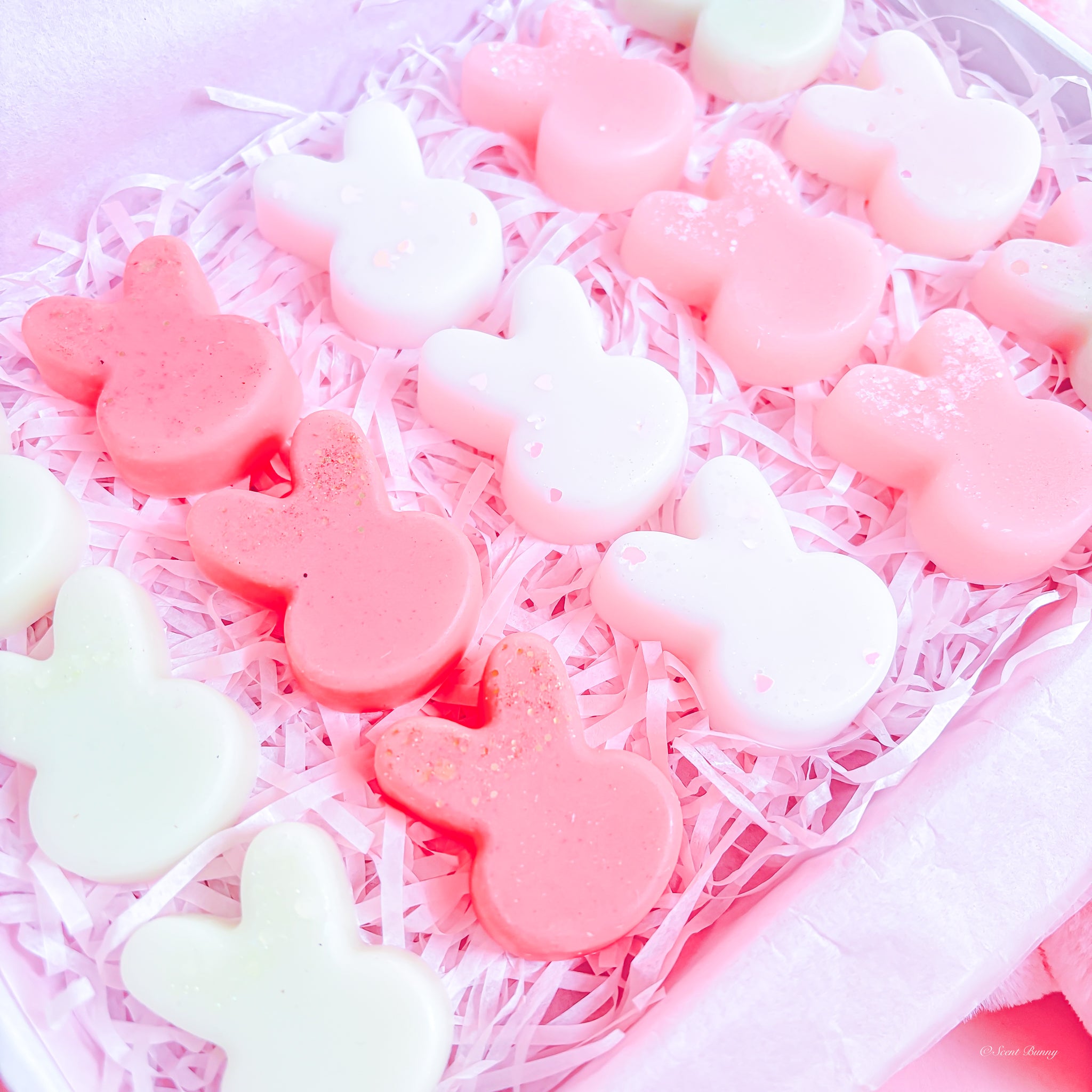 May Bunny Box handmade wax melts Belfast

Limited edition bunny wax melt gift set

Spring home fragrance box with bunny melts

Earthbound Bunny wax melts

Wexford Bunny wax melts

Botanical Bunny wax melts

Rose Bunny wax melts

Pure Bunny wax melts