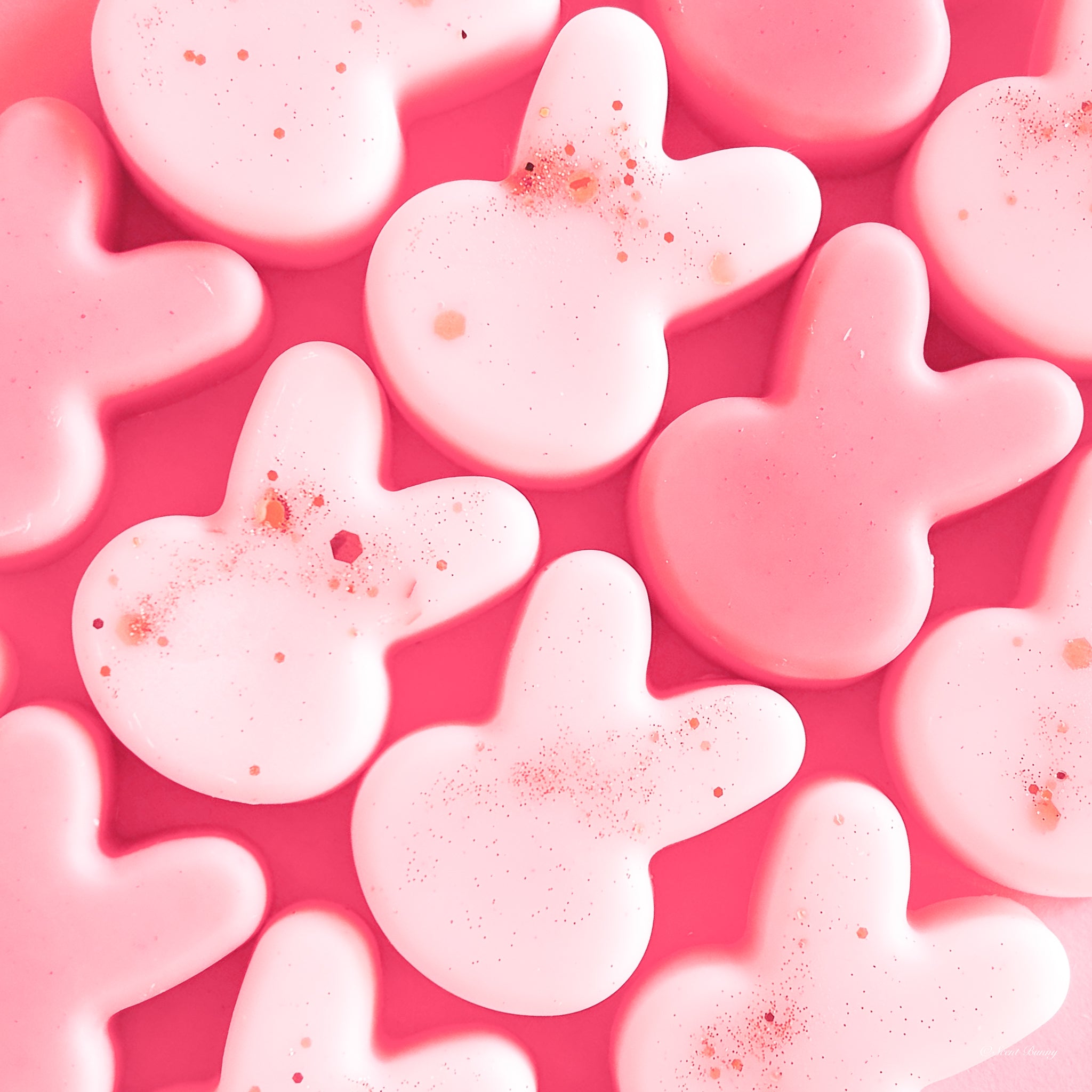 Bunny Orchard wax melts with apple, lychee, and rose by Scent Bunny, handmade wax melts Belfast

Elegant fruity floral Bunny Orchard wax melts with amber and musk by Scent Bunny, handmade wax melts Belfast

Hand-poured Bunny Orchard warm and fresh wax melts by Scent Bunny, handmade wax melts Belfast

Luxurious orchard-inspired home fragrance wax melts by Scent Bunny, handmade wax melts Belfast