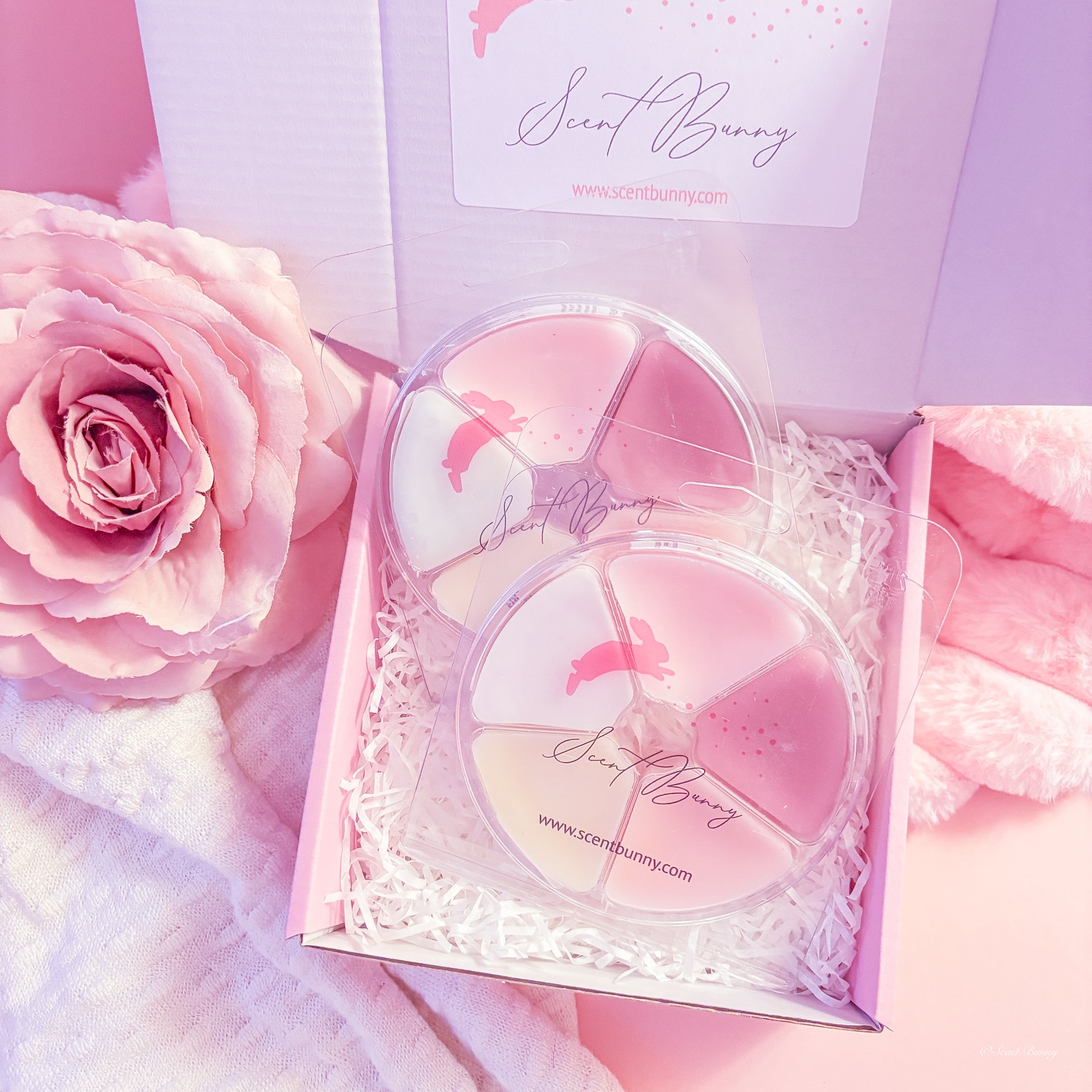 Fruity Favourites Wax Melt Collection – 5 luxury Scent Bunny melts (100g) with Blossom, Watermelon, Pineapple, Blackcurrant & Orchard for juicy homes!