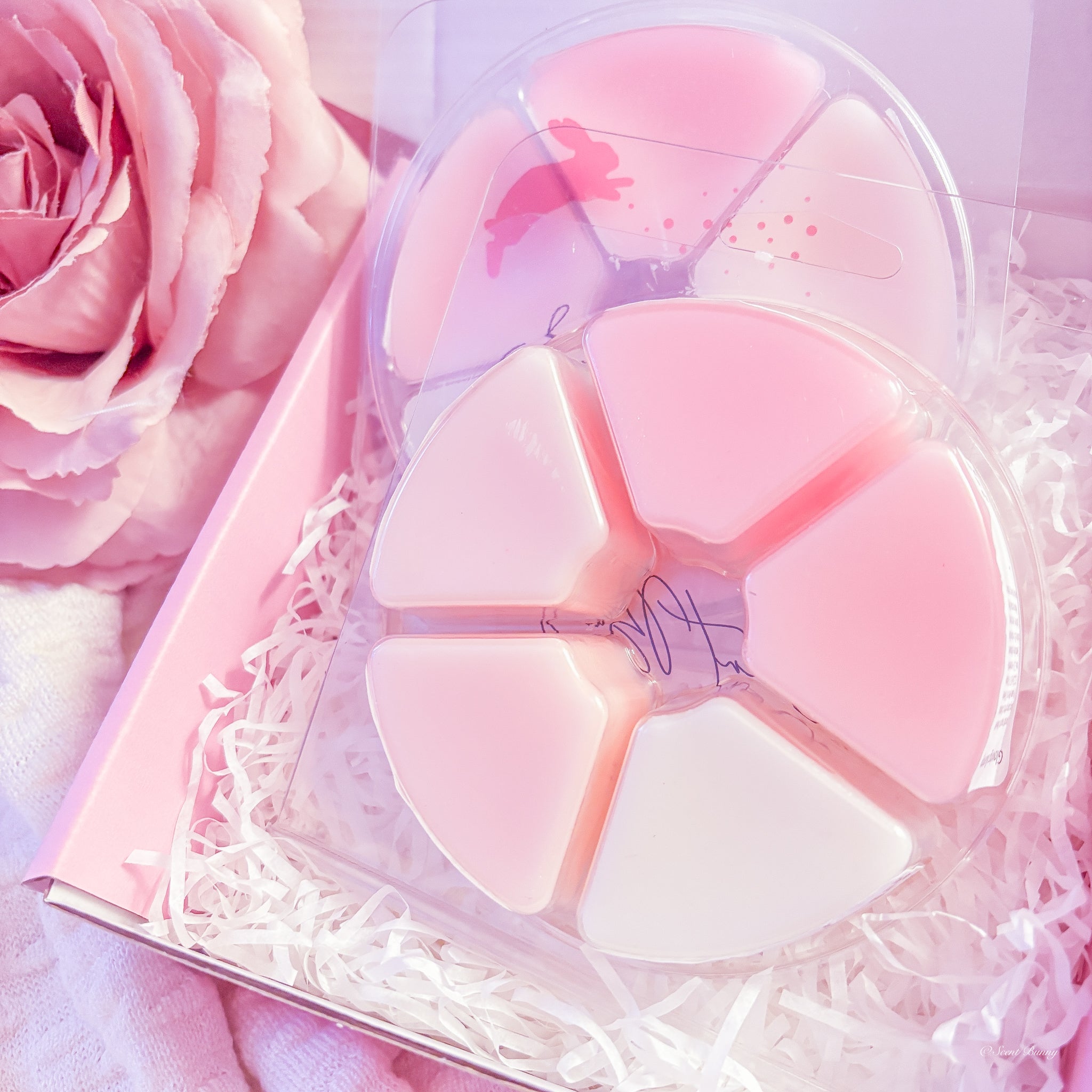 Scent bunny Wax Melt Collection