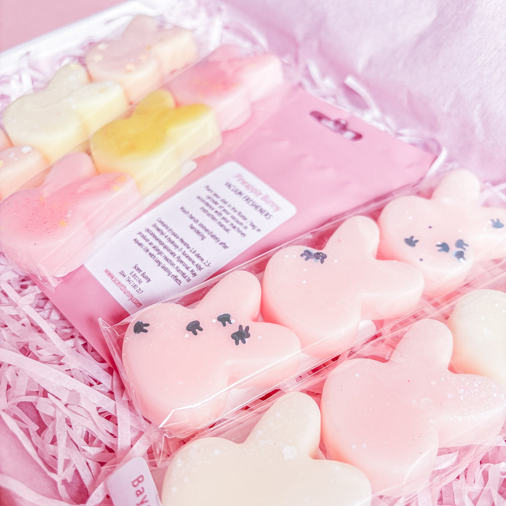 Bunny-themed home fragrance box Northern Ireland