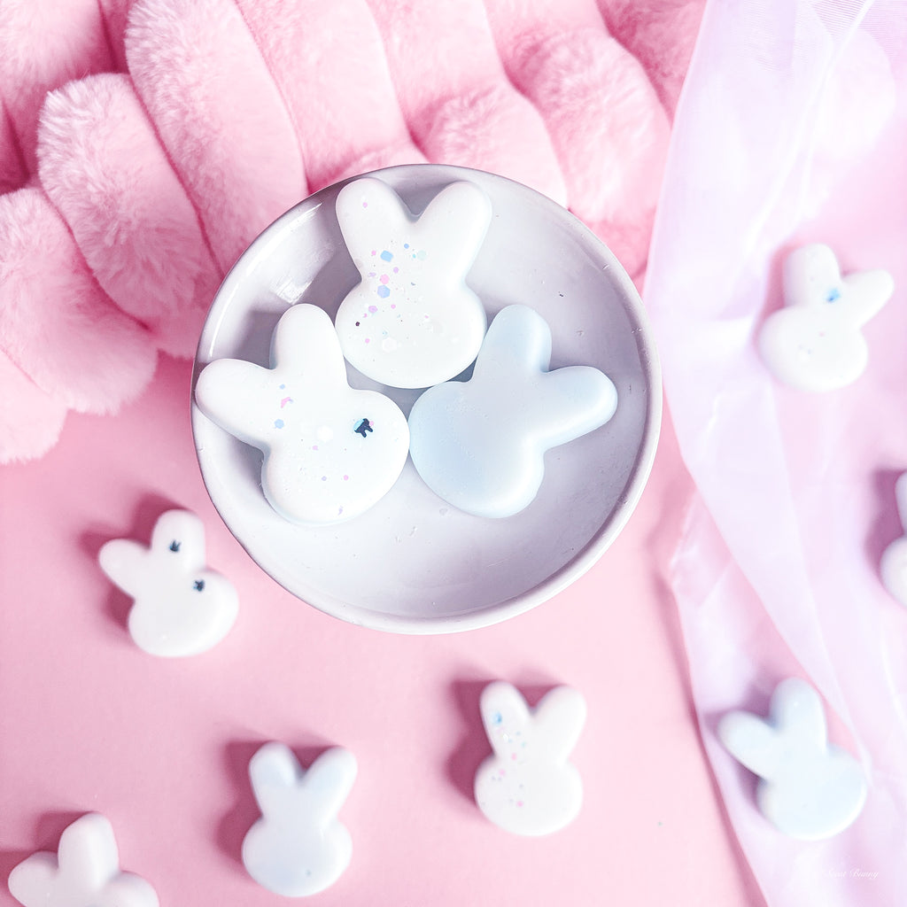 Fresh laundry scent wax melts Belfast