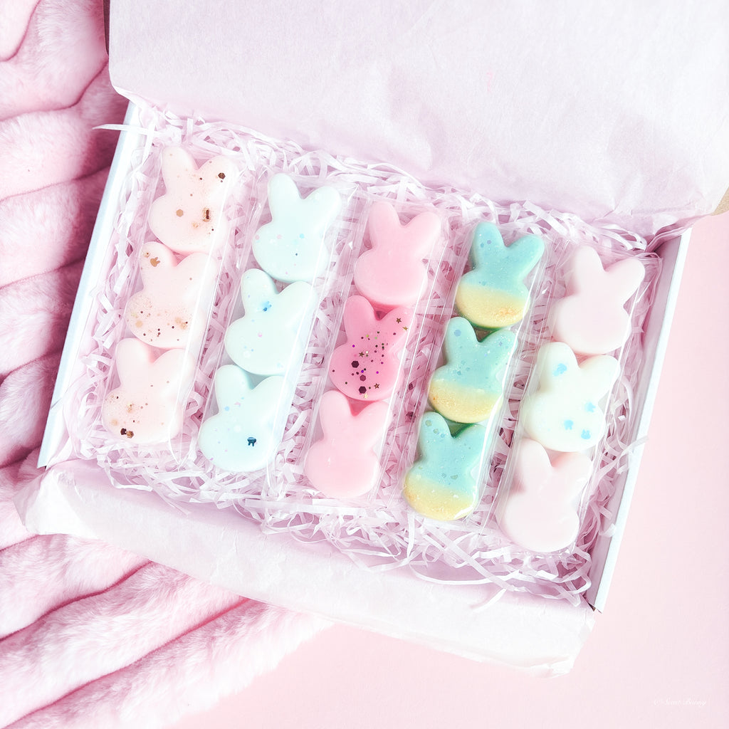 June Bunny Box handmade wax melts Belfast

Limited edition bunny wax melt gift set

Summer home fragrance box with bunny melts

Beach Bunny wax melts

Aussie Bunny wax melts

Blossom Bunny wax melts

Bunny Skies wax melts

Bunny Sands wax melts
