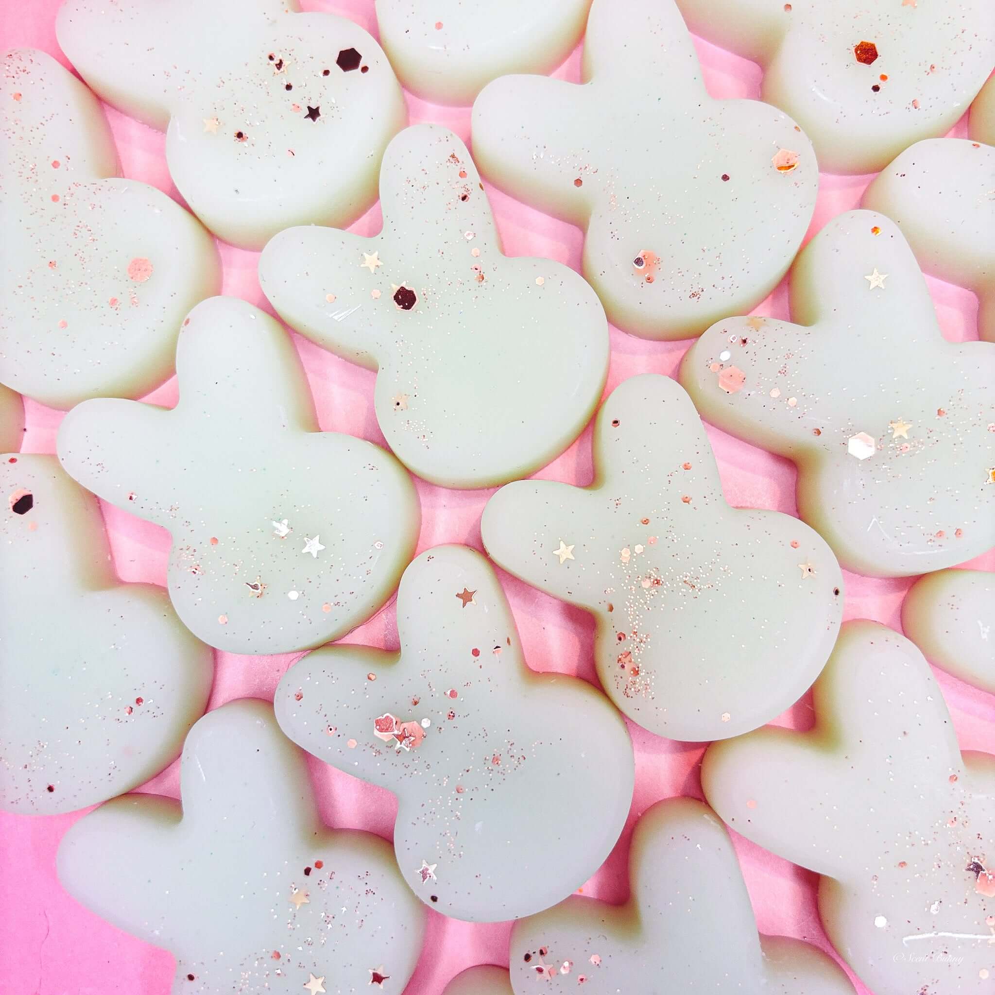 Bunny Charm wax melts inspired by Sauvage aftershave

Citrus and amber wax melts with masculine notes

Aromatic bunny-shaped wax melts for a fresh, modern home scent

Sophisticated wax melts with grapefruit, sage, and musk