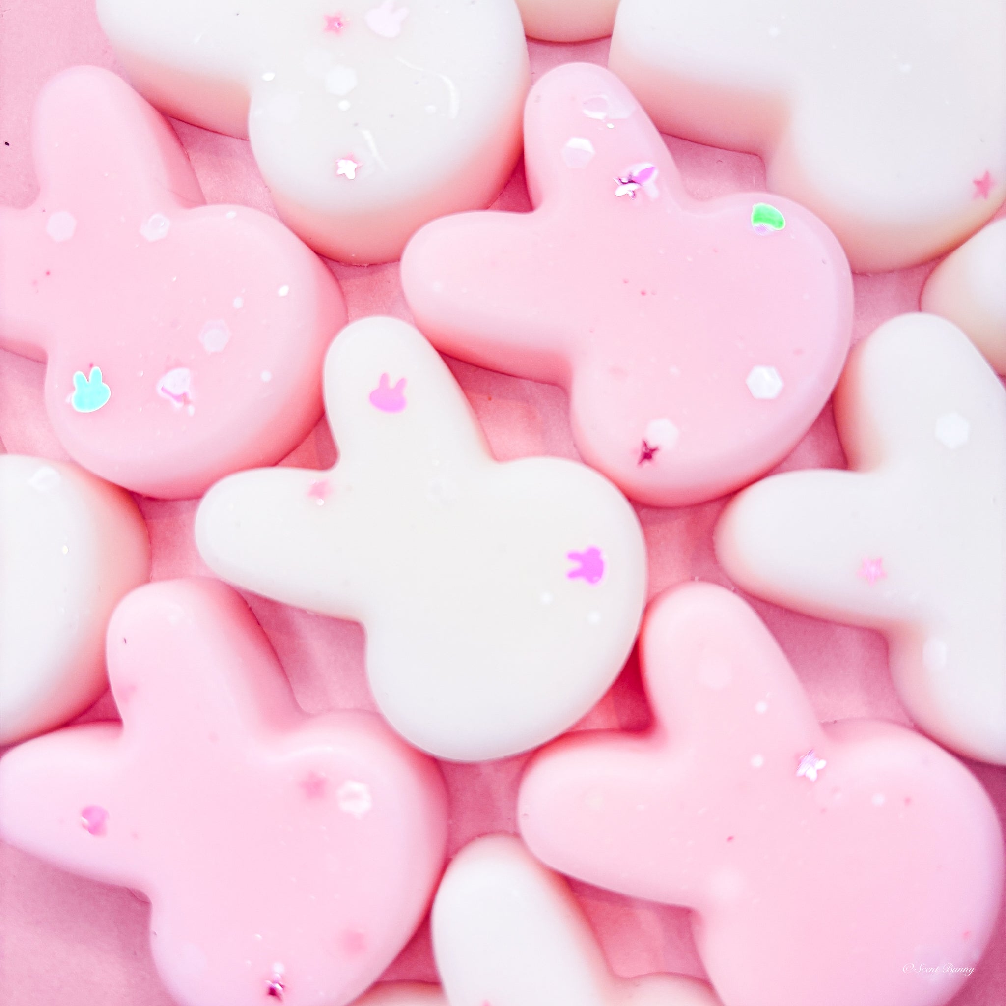 Laundry Bunny clean linen wax melts

Fresh and cozy laundry scent wax melts

Floral citrus vanilla bunny wax melts

Comforting home fragrance melts for laundry lovers

scent bunny Belfast wax melts