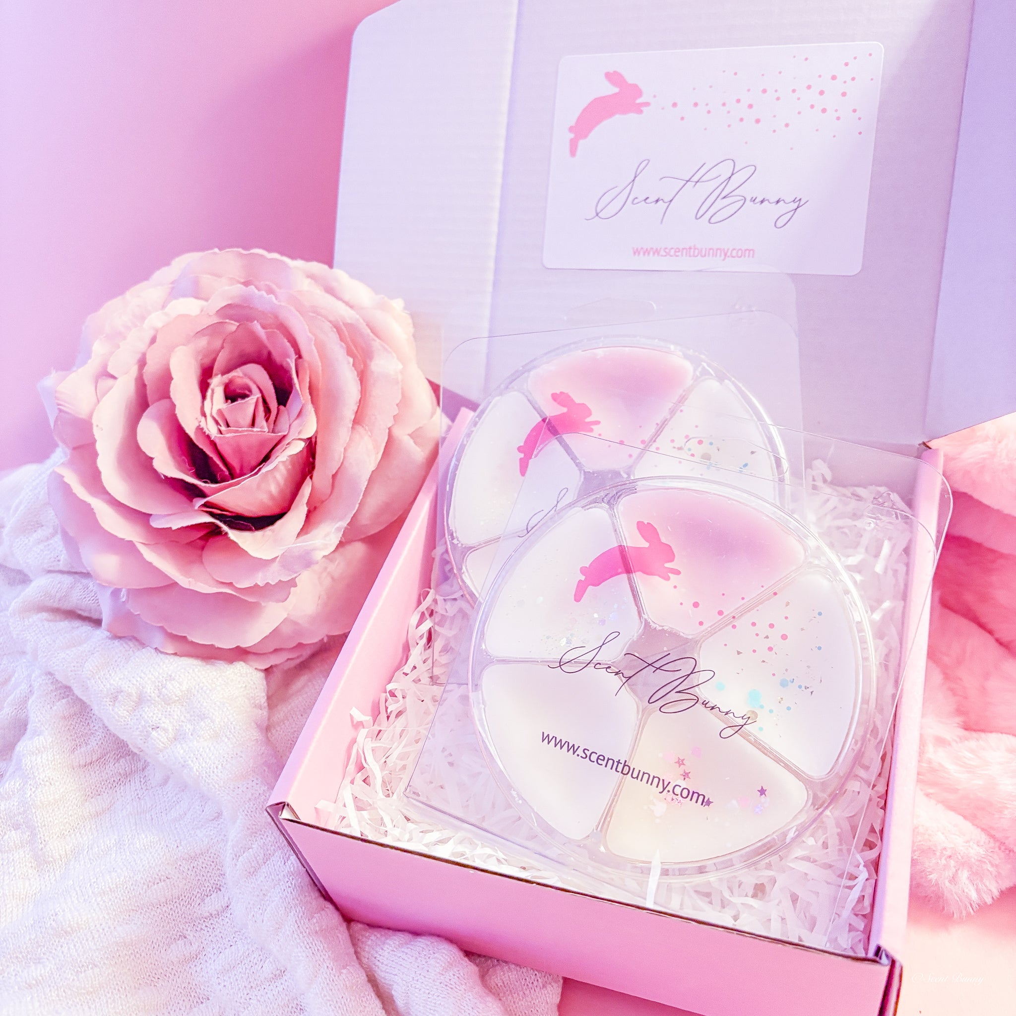 Fresh Laundry Wax Melt Collection | 5 Scent Bunny Melts 100g