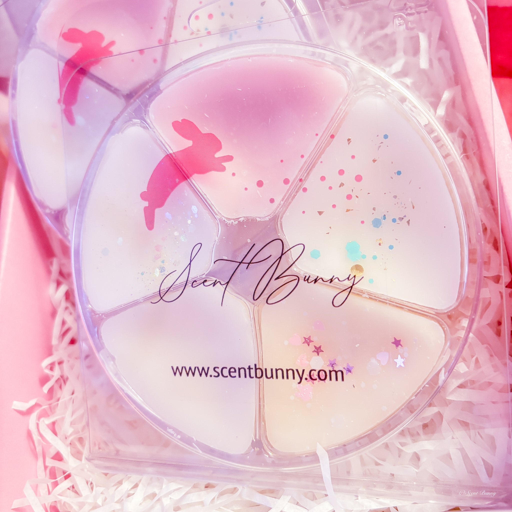 Fresh Laundry Wax Melt Collection | 5 Scent Bunny Melts 100g