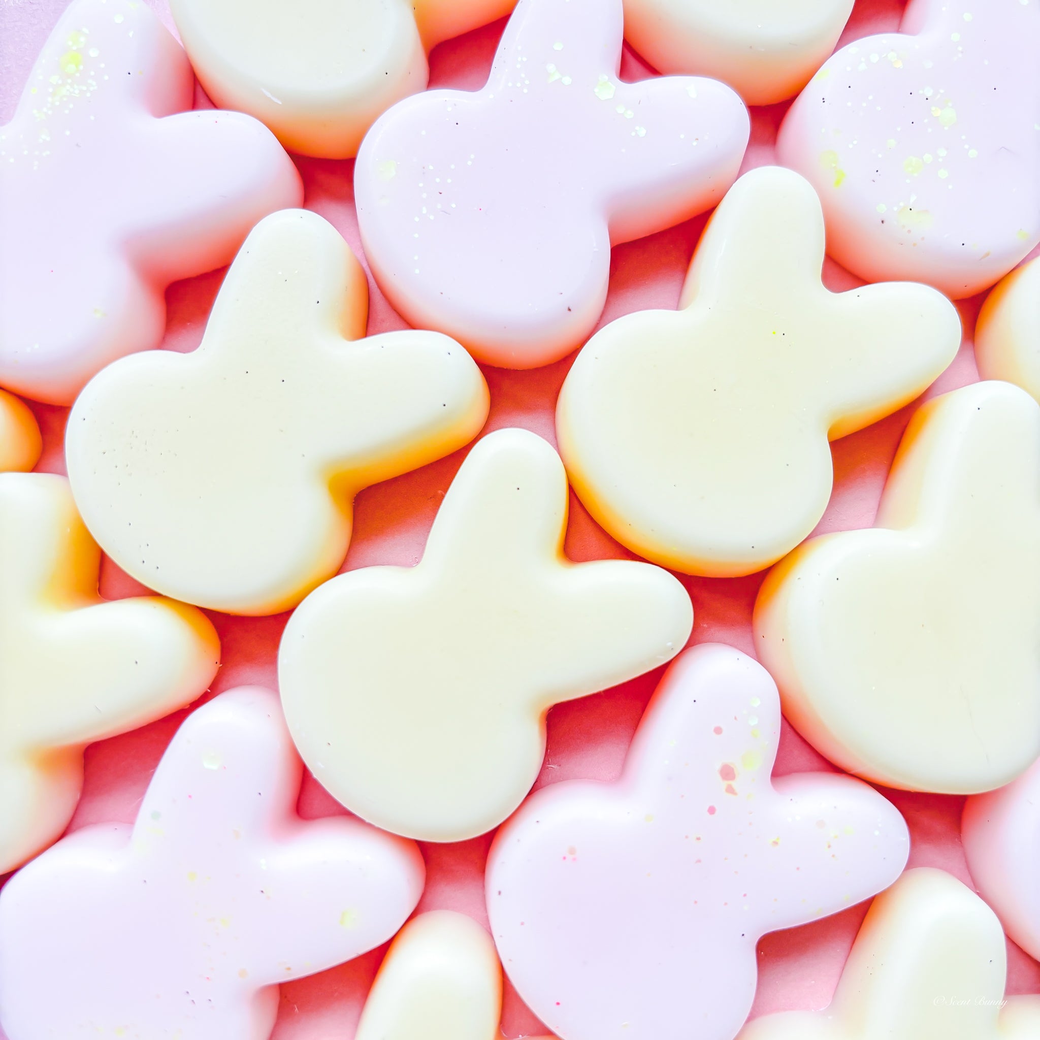 Lenor Burst of Sunshine inspired wax melts belfast