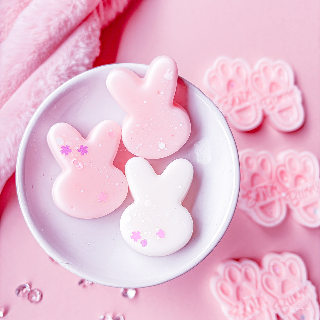 Raspberry and rose home fragrance melts