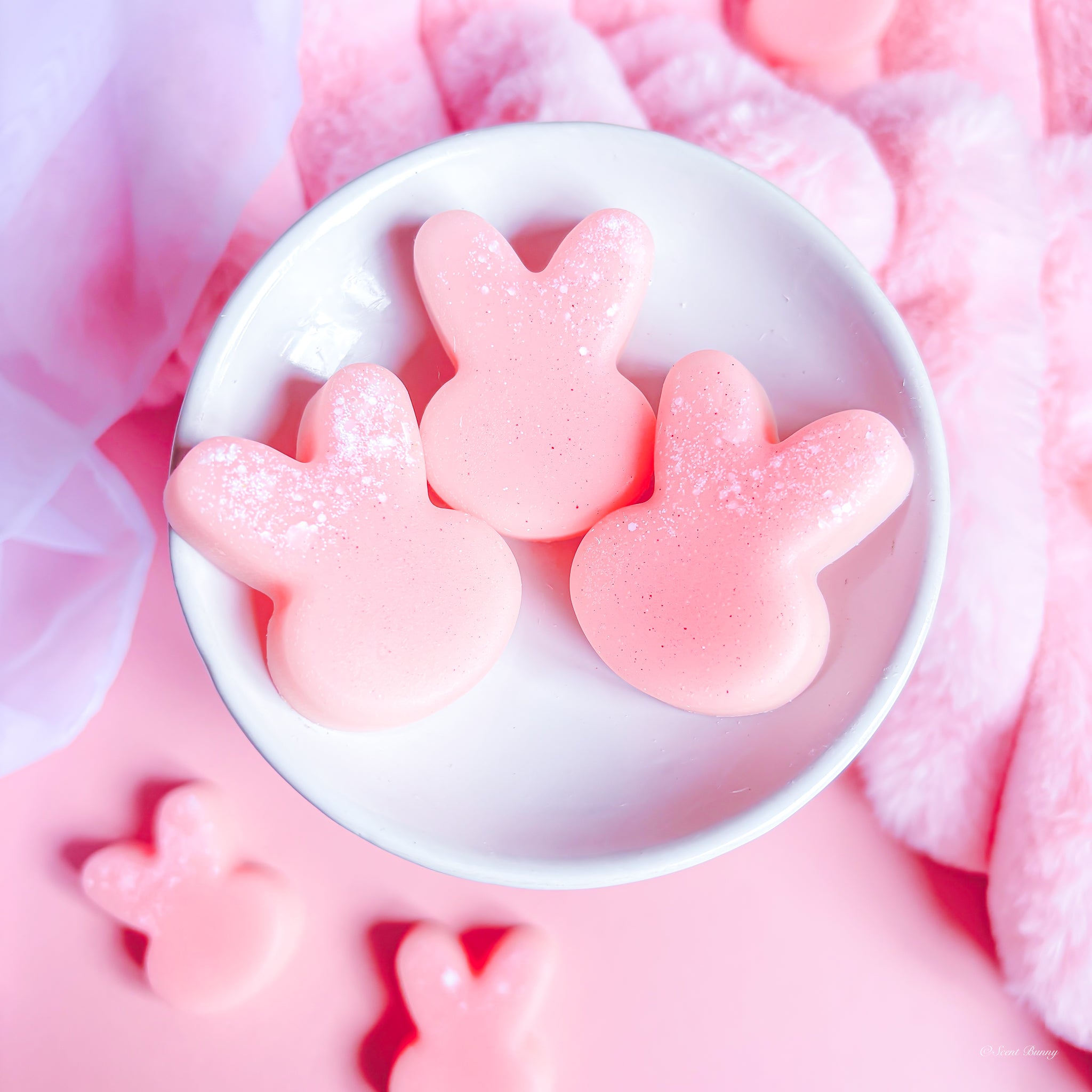 Strawberry & Vanilla Blend belfast fragrance