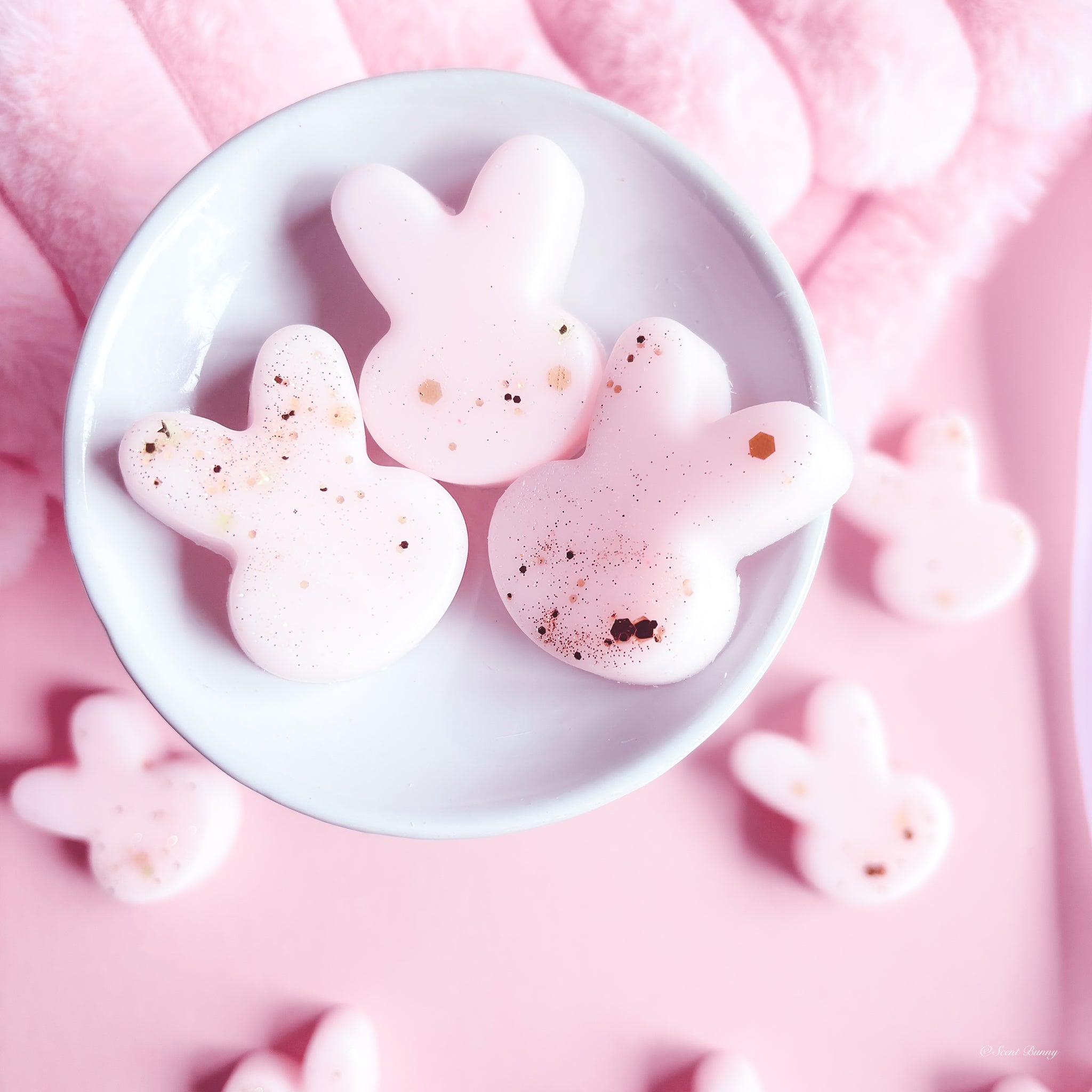 Bunny Sands wax melts
tropical wax melts UK
highly scented wax melts