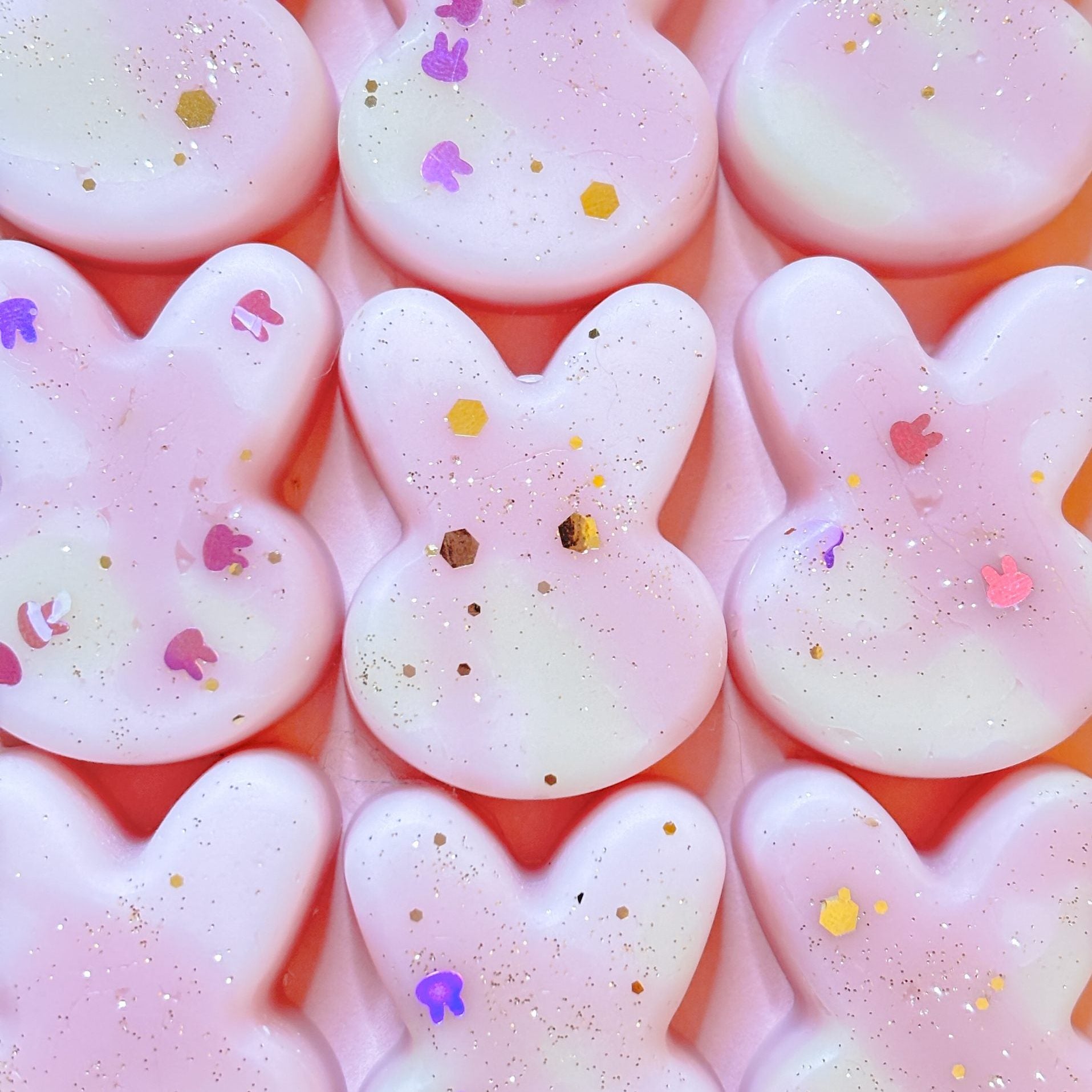 Bunny Forage wax melts Belfast – Blackcurrant & rhubarb scent – Handmade autumn home fragrance by Scent Bunny